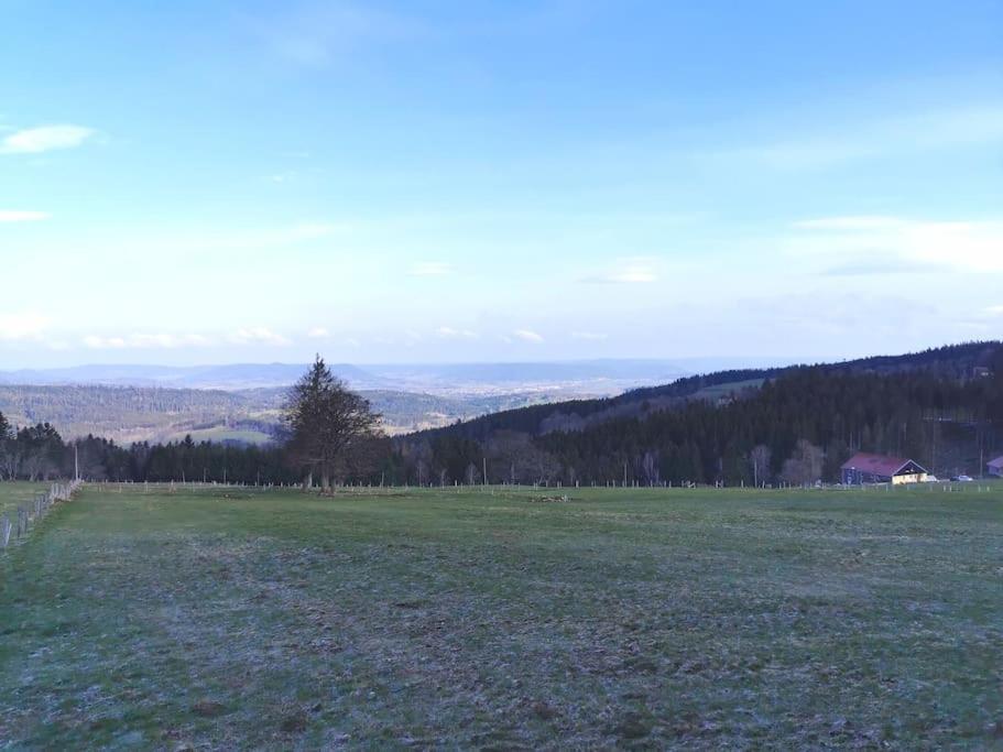 La Magie Entre Deux Lacs Gérardmer Eksteriør billede